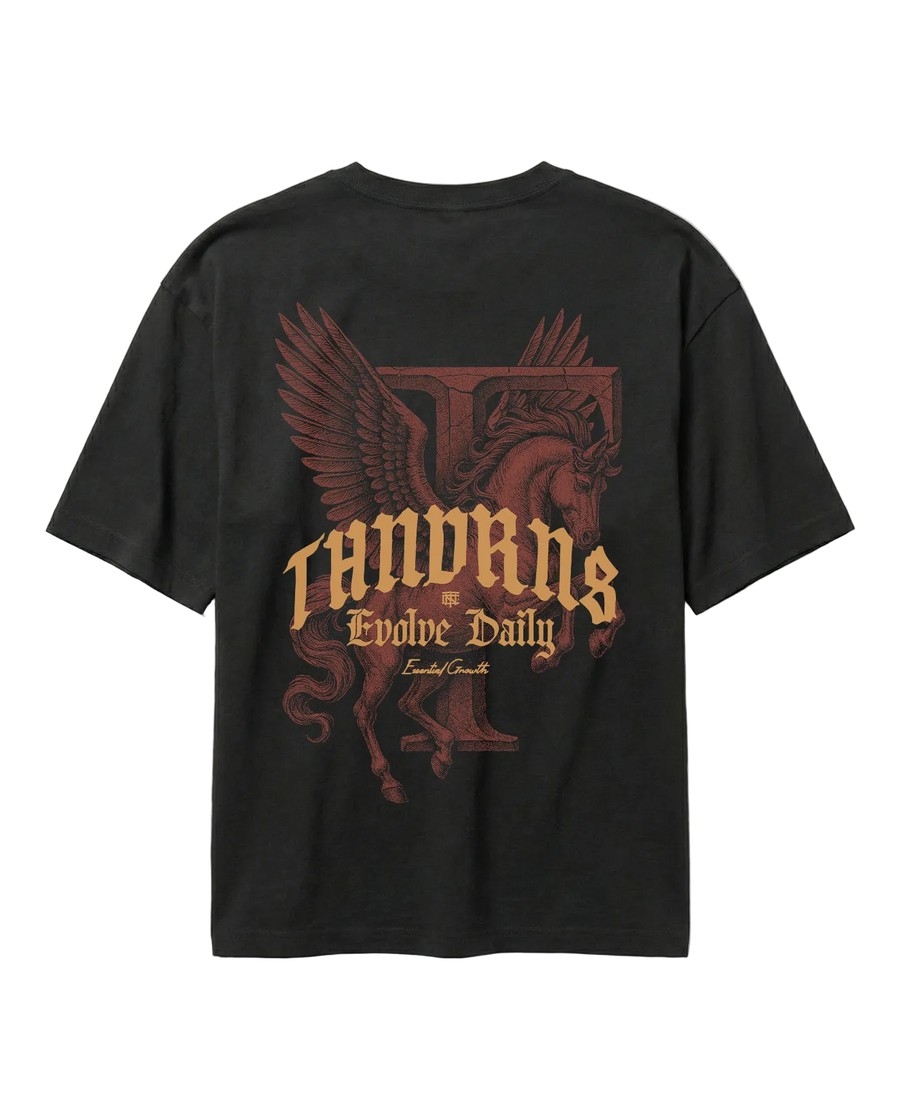 Pegasus Relaxed T-Shirt - Black