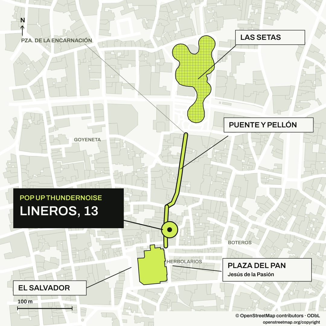 Mapa: Las Setas, Puente y Pellón, Lineros 13, Plaza del Pan y El Salvador